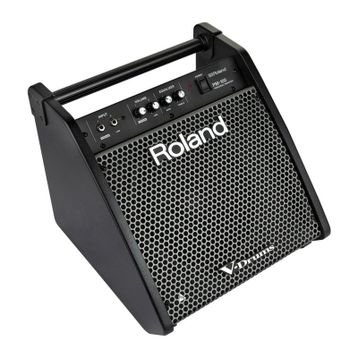 Roland PM-100 80 Watt Davul Monitörü