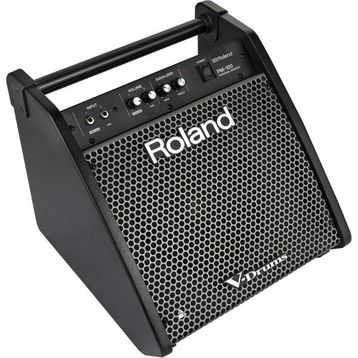 Roland PM-100 80 Watt Davul Monitörü