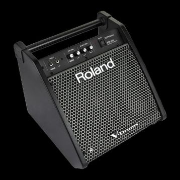 Roland PM-100 80 Watt Davul Monitörü