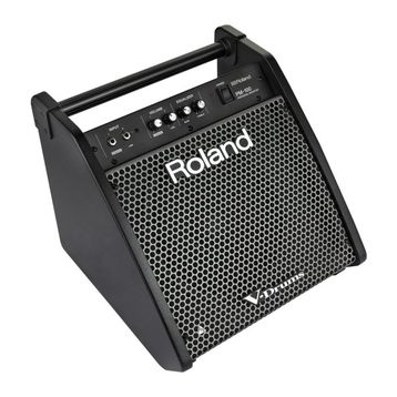 Roland PM-100 80 Watt Davul Monitörü