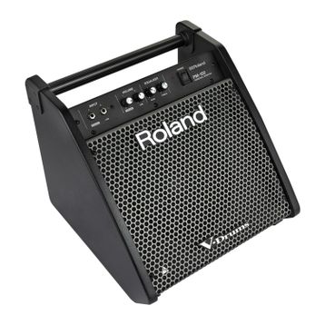 Roland PM-100 80 Watt Davul Monitörü
