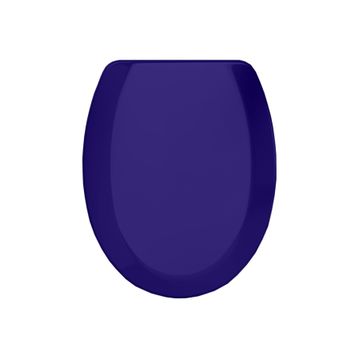 Rona Tisa ThermoPlast Standart Üstten Monte Klozet Kapağı