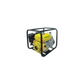 Rother RTR020 Benzinli Su Pompası