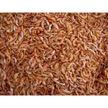 Rotifish 1 kg Gammarus Kurutulmuş Karides Balık ve Kaplumbağa Yemi