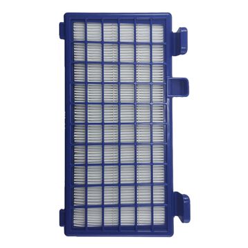 Rowenta Ro 6235 X-Trem Power Cyclonic Uyumlu Hepa Filtre