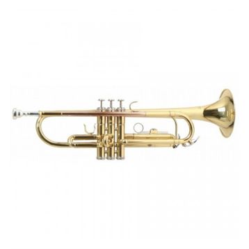 Roy Benson TR-101 Trompet