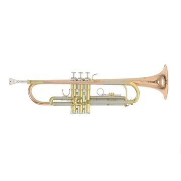 Roy Benson TR-202G Trompet