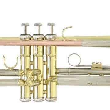 Roy Benson TR-202G Trompet
