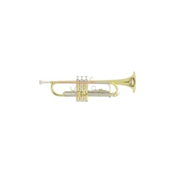 Roy Benson TR-202G Trompet