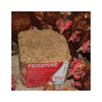 Royal 10 kg Avian PeckStone