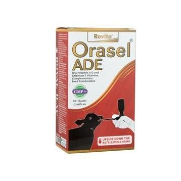 Royal 100 ml Rovita Orasel ADE