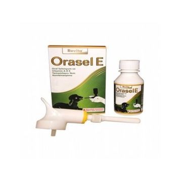 Royal 100 ml Rovita Orasel