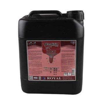 Royal 20 lt Masdisin İobar