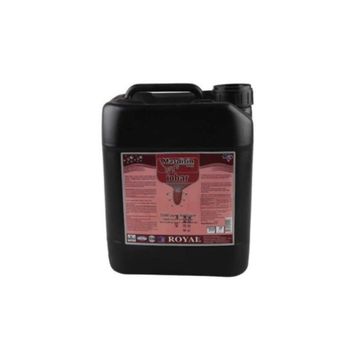 Royal 20 lt Masdisin İobar