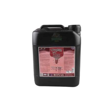 Royal 20 lt Masdisin İobar