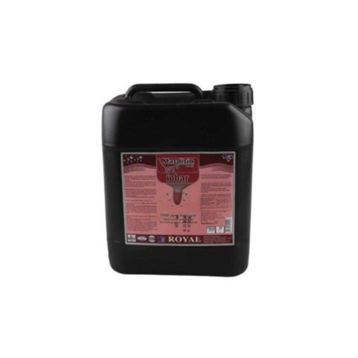 Royal 20 lt Masdisin İobar