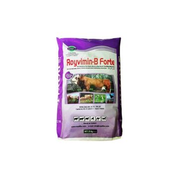 Royal 25 kg Royvimin B Forte Torba