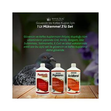 Royal Acidoral Pigeorex Pantonic 3'lü 1 lt Tamamlayıcı Yem Seti