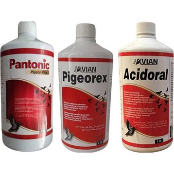 Royal Acidoral Pigeorex Pantonic 3'lü 1 lt Tamamlayıcı Yem Seti