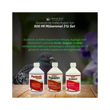 Royal Acidoral Pigeorex Pantonic 3'lü 500 ml Tamamlayıcı Yem Seti