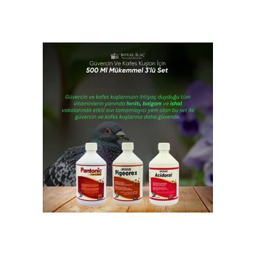 Royal Acidoral Pigeorex Pantonic 3'lü 500 ml Tamamlayıcı Yem Seti