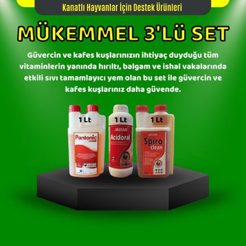Royal Acidoral Spiro Clean Pantonic 3'lü 1 lt Tamamlayıcı Yem Seti