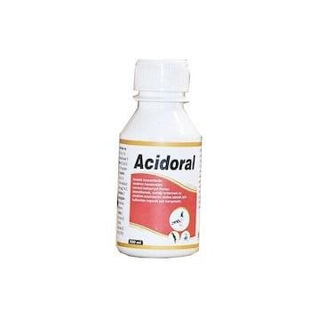 Royal Avian Acidoral 100 ml Vitamin