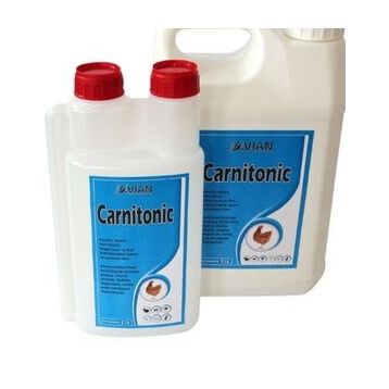Royal Avian Carnitonic 1 lt Kanatlı Vitamin