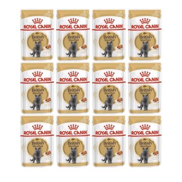 Royal Canin 12x85 gr British Shorthair Kedi Maması