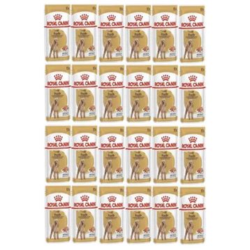 Royal Canin 24x85 gr Adult Poodle Caniche Tüy Sağlığı Destekleyici Yetişkin Köpek Konservesi