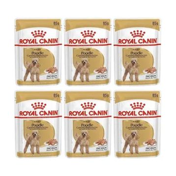 Royal Canin 6x85 gr Adult Poodle Caniche Tüy Sağlığı Destekleyici Yetişkin Köpek Konservesi