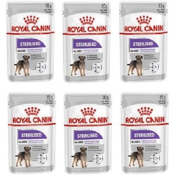 Royal Canin 6x85 gr Mini Sterilised Köpek Yaş Mama
