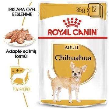 Royal Canin 85 gr Chihuahua Adult Yaş Köpek Maması