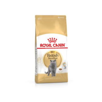 Royal Canin Adult British Shorhair 2 kg Yetişkin Kedi Mama