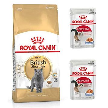 Royal Canin Adult Yetişkin British Shorthair 2 kg Kedi Maması + Royal Canin Yetişkin British Shorhair 2 Adet Yaş Maması