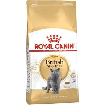 Royal Canin Biritsh Shorthair Cinsi Üretilmiş Adult BS Cat Food 4 kg Kedi Kuru Kedi Maması