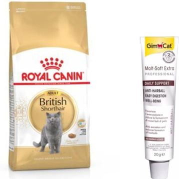 Royal Canin British Shorthair 2 kg Yetişkin Kedi Maması+Gimcat Anti-Hairball Malt Paste 20 gr Kedi Macunu