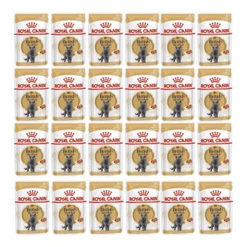 Royal Canin British Shorthair 24x85 gr Yaş Kedi Maması