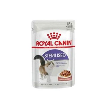 Royal Canin British Shorthair Adult 2 kg Kuru Kedi Maması+85 gr Yaş Mama