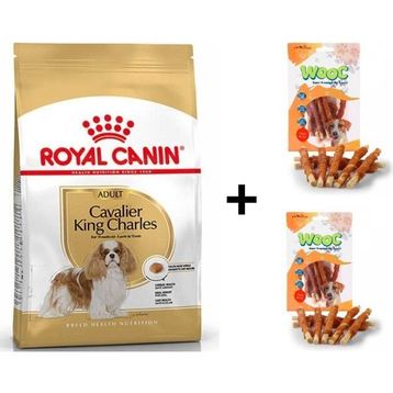 Royal Canin Cavalier King Charles 1.5 kg Yetişkin Köpek Maması + 2x80 gr Wooc Ödül