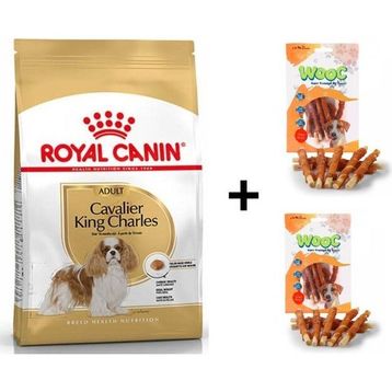 Royal Canin Cavalier King Charles 3 kg Yetişkin Köpek Maması + 2x80 gr Wooc Ödül