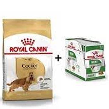 Royal Canin Cavalier King Charles Yetişkin 3 kg 12 Adet Köpek Yaş Mama