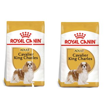 Royal Canin Cavalier King Charles Yetişkin Yaş 2x3 kg Köpek Mama