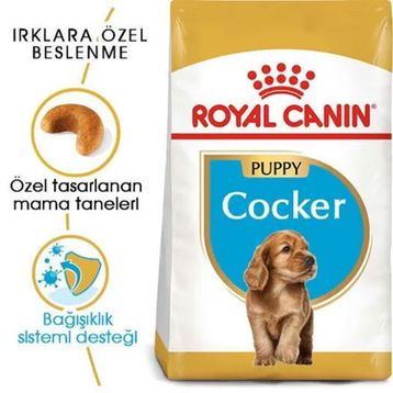 Royal Canin Cocker Puppy Irk 3 kg Yavru Köpek Maması