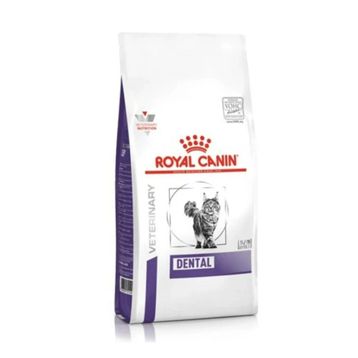 Royal Canin Expert Dental 1.5 kg Kedi Kuru Kedi Maması