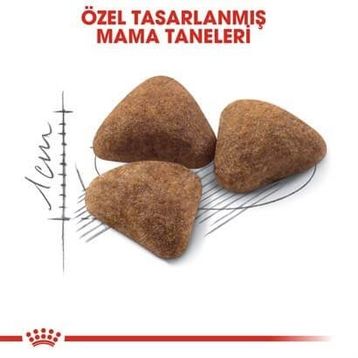Royal Canin Indoor 27 2 kg Kuru Kedi Maması