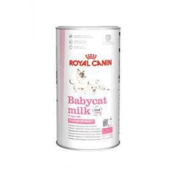 Royal Canin Kitten 300 gr Kedi Süt Tozu