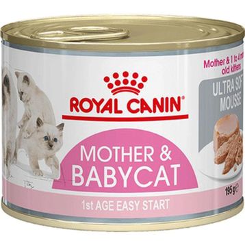 Royal Canin Kitten 4 kg Yavru Kedi Maması + 195 gr Yavru Kedi Konservesi