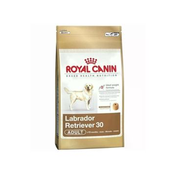 Royal Canin Labrador Retriever 12 kg Yetişkin Köpek Maması