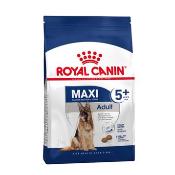 Royal Canin Maxi Büyük Irk 15 kg Yetişkin Köpek Maması